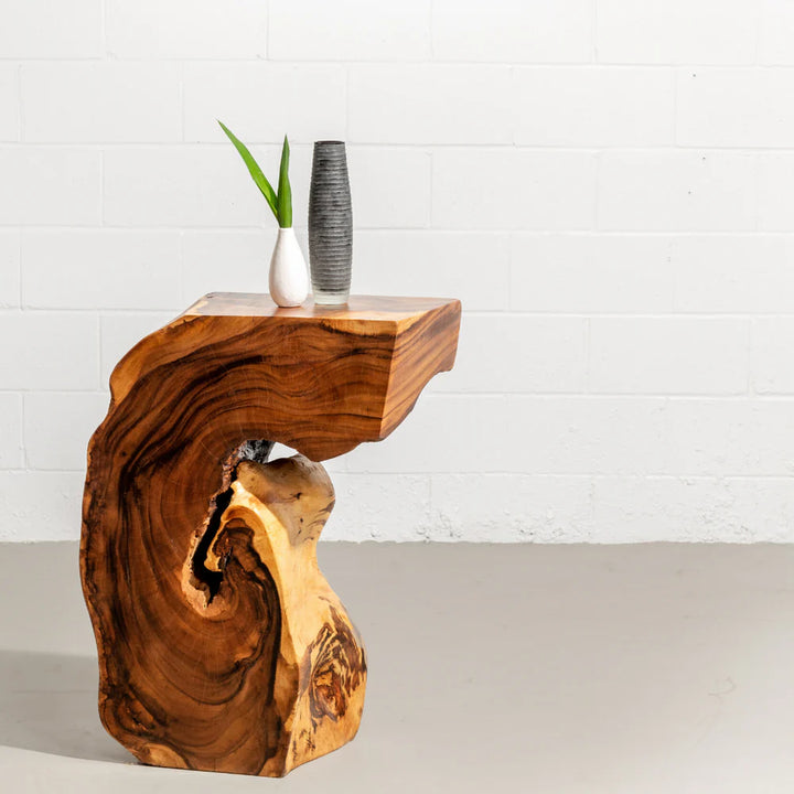 KODA - Suar Root Wood End Table