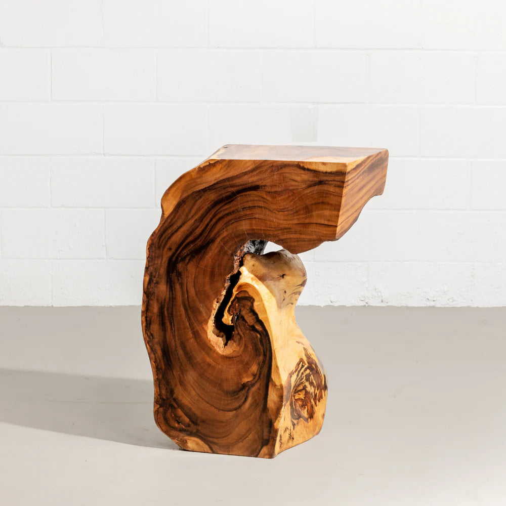 KODA - Suar Root Wood End Table