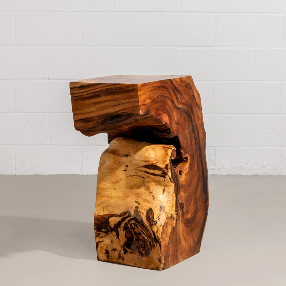 KODA - Suar Root Wood End Table