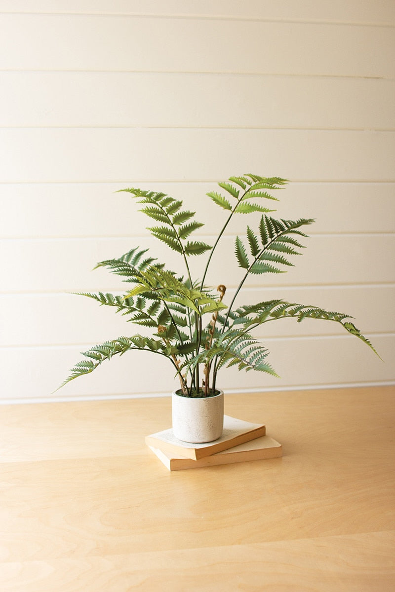 Artificial Fern In a Cement Pot