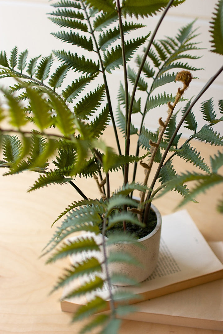 Artificial Fern In a Cement Pot